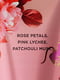 Набор для тела Rose Lychee Victoria’s Secret мист и лосьон 1159802249 (Розовый, 236 ml/250 ml) | 6824958 | фото 3