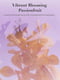 Парфумований лосьйон Vibrant Blooming Passionfruit (236 мл) | 6825923 | фото 3