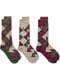 Набор мужских носков (3 пары) | 6834006 | фото 2