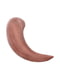 Блиск для губ Artistry Signature Color (у футлярі з підсвічуванням) - Pink Nude (6 мл) | 6837913 | фото 4
