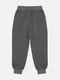 Спортивні штани для хлопчика 116 сірий Lizi Kids ЦБ-00210200 | 6843571 | фото 3