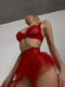 Червоний комплект еротичної білизни:  бюст, труси, пояс, гартери | 6850486 | фото 4