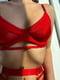 Комплект червоної еротичної білизни: бюст, труси, пояс, гартери | 6850607 | фото 3