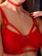 Комплект червоної еротичної білизни: бюст, труси, пояс, гартери. | 6850614 | фото 5