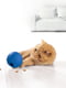Набір для тварин: іграшковий м’яч, миска і килимки (2 шт.) | 6854877 | фото 7