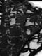 Розкішний чорний комплект білизни: пояс для панчохи та труси | 6860092 | фото 9