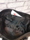 Чорна шкіряна сумка Монако XXL | 6862027 | фото 4