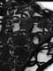 Сексуальні чорні труси з візерунком | 6865211 | фото 7