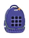 Рюкзак шкільний  Butterfly синій з принтом (21 л) | 6874888 | фото 2