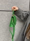 Зелена сумка крос-боді під рептилію | 6875120 | фото 4
