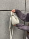 Біла сумка крос-боді на ремінці | 6875264 | фото 4