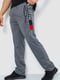Трикотажные серые брюки с красно-черной вставкой | 6888967 | фото 3