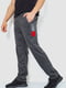 Трикотажные темно-серые брюки с красно-серой вставкой | 6888968 | фото 3