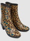 Короткі гумові чоботи леопардового принта | 6889284 | фото 3