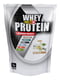 Протеїн Whey Protein - 1000g Vanila Ise Cream | 6996213