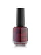 Лак для нігтів Lacquer Nail Polish 010 (11 мл) | 7051020